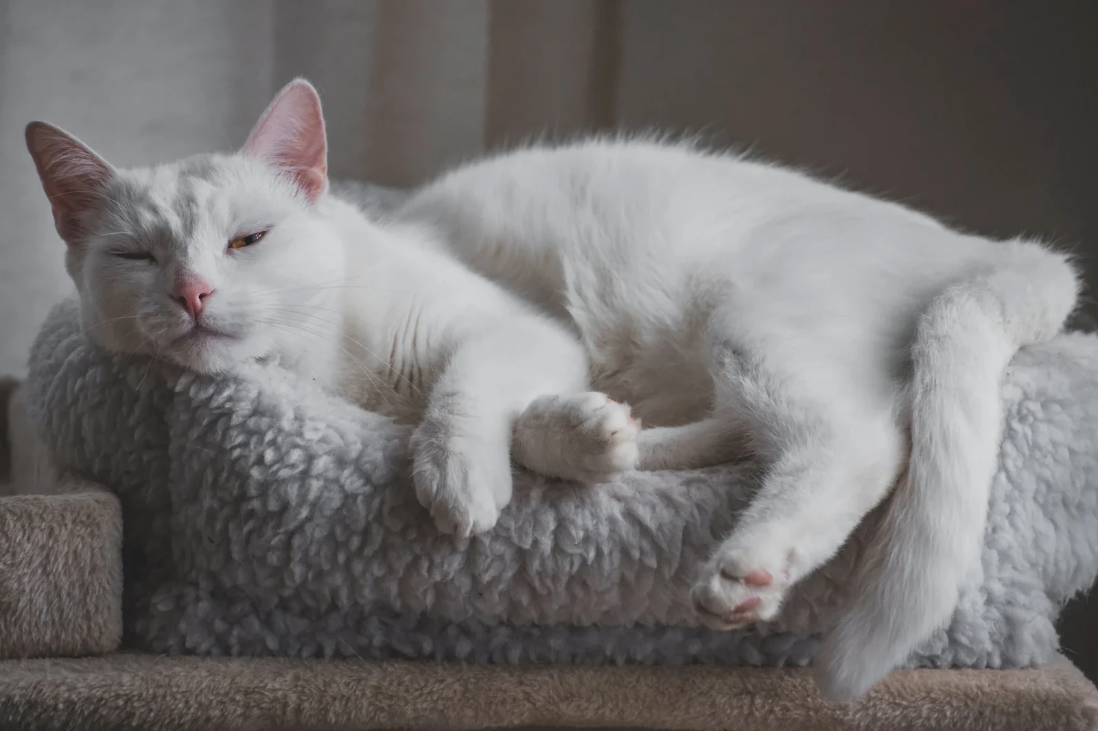 Legătura dintre somn și stres